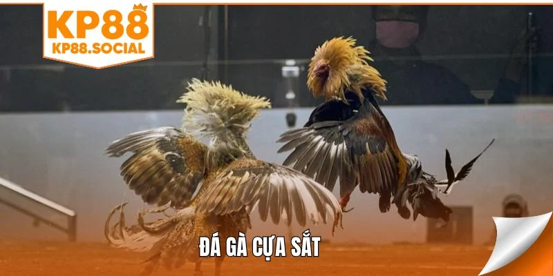 da-ga-cua-sat